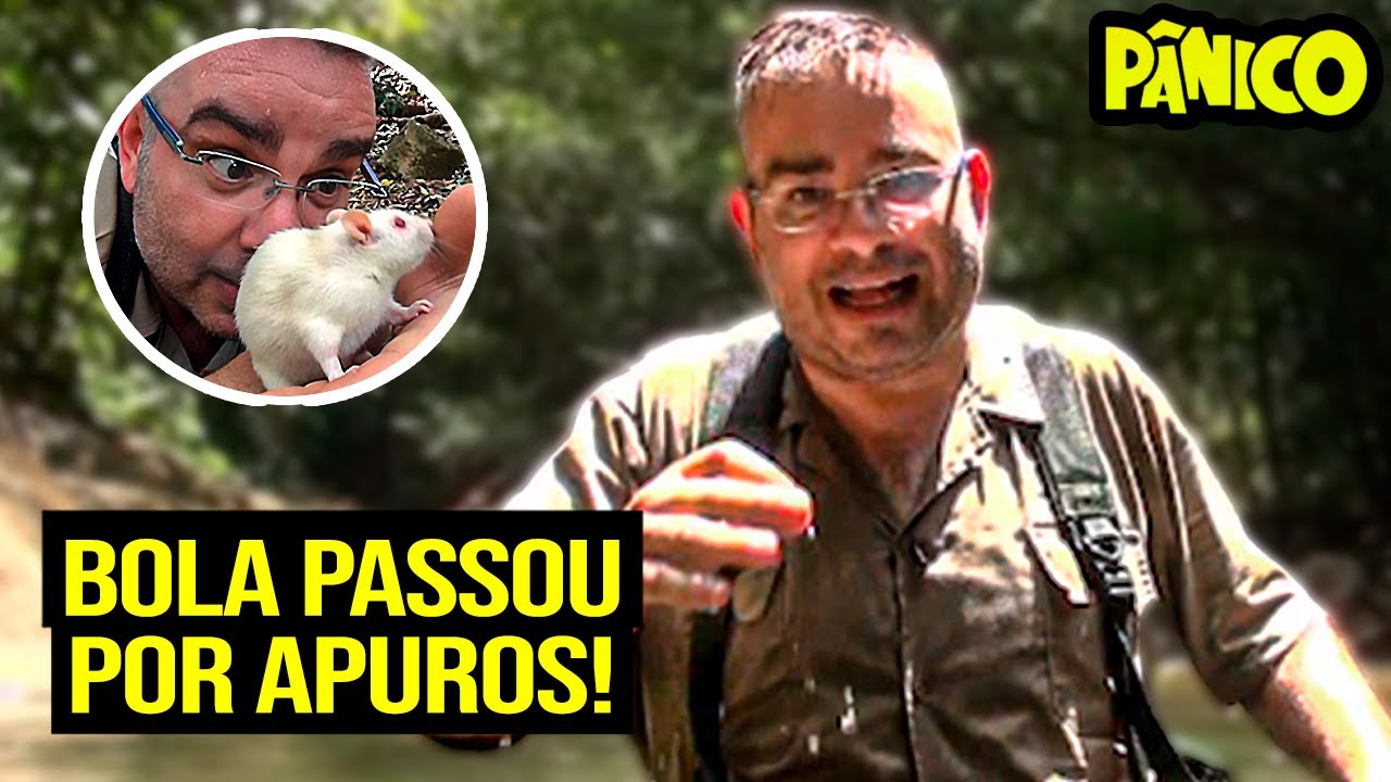 Bola encara os piores animais da Floresta - Animal Planet #01